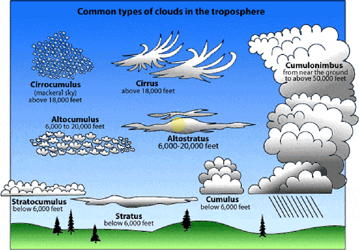 The Types Of Clouds Everything You Need To Know