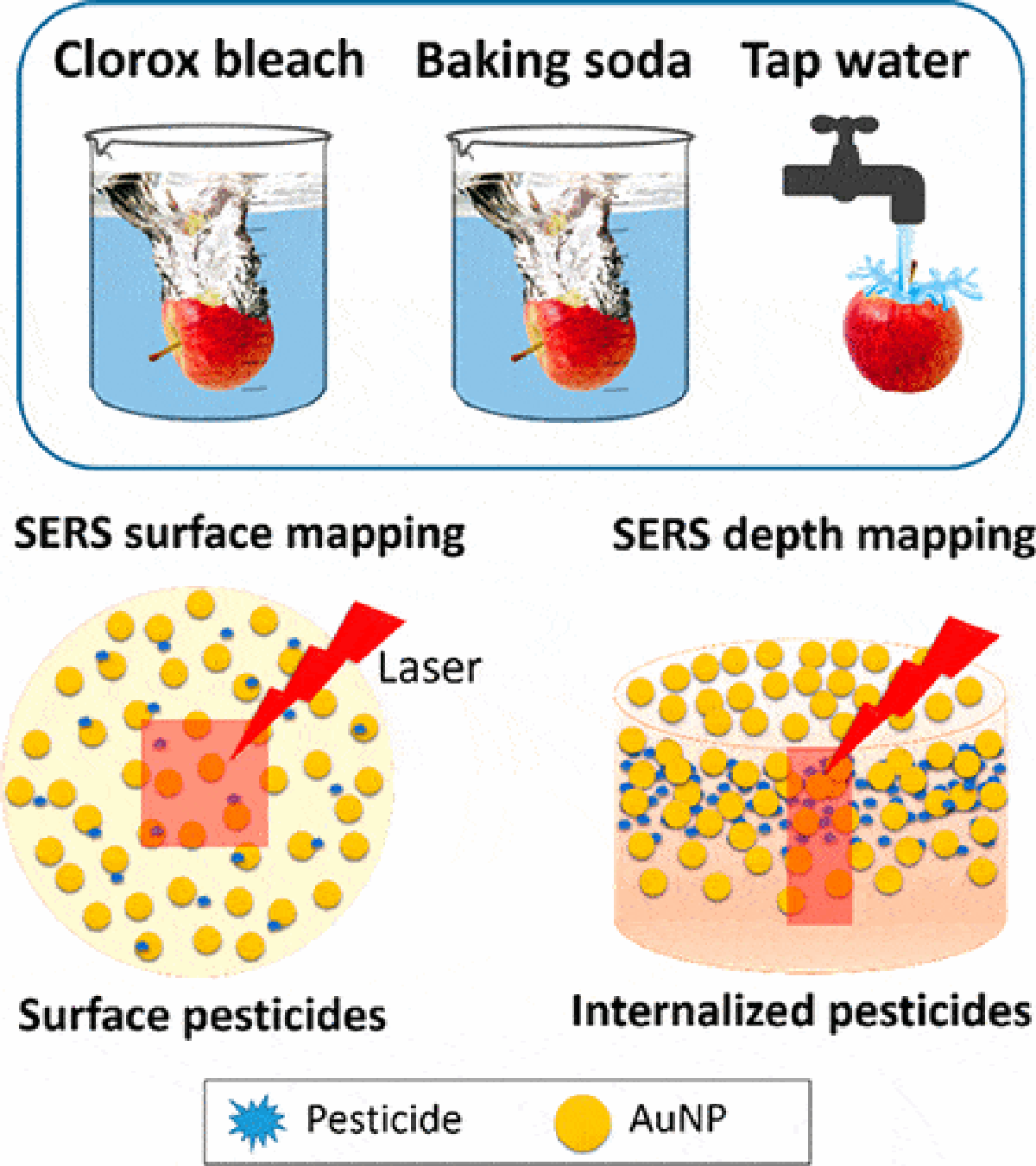 How To Wash Your Apples To Eliminate Pesticides According To Science